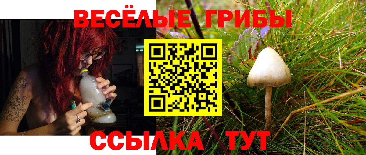 Жигулёвск  Галлюциногенные грибы Magic Shrooms  Вход с VPN  Псилоцибиновые грибы Magic Shrooms 